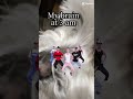 #lifecouldbeadream
