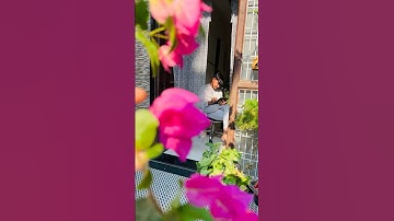 Happy holi #Procreate #art #shortvideo #holi