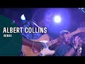 Capture de la vidéo Albert Collins - Iceman (From "Live At Montreux 1992" Dvd)