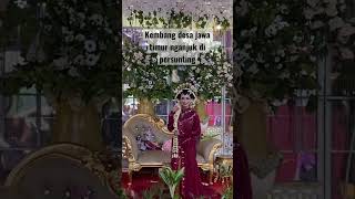 Kembang Desa Nganjuk Jawa Timur  nikah shorts short short fyp