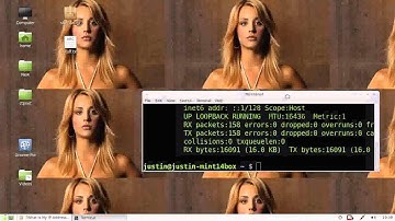 check your internal & external IP addres in Linux Mint 14