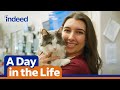 Veterinary Practice and Career Insights