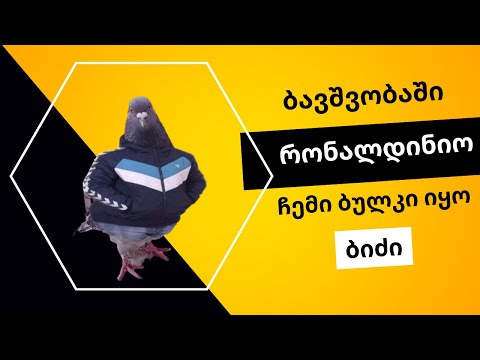 8-0 მსოფლიო ჩემპიონატის მატჩში?