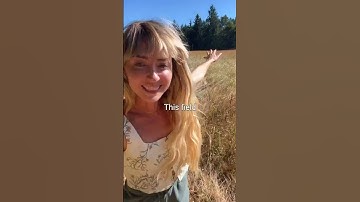 Why Your Brain SABOTAGES Change🧠🔥🛣️