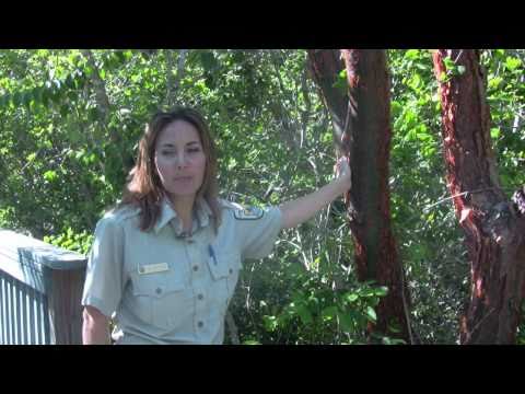 Wildlife Refuge Ranger: Preserving a piece of para...