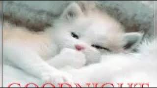 Good Night Gifs | Love Cute 🥰