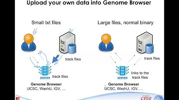 B4B: Module 3 - Visualize your own data using Genome Browser