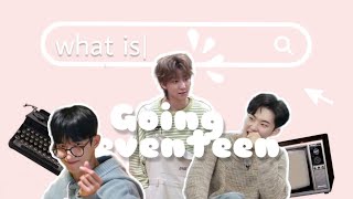 a subpar guide to going seventeen