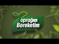 17/10/2020 TOPRAĞIM BEREKETİM - BEYAZ ŞAPKALI MANTAR YETİŞTİRİCİLİĞİ