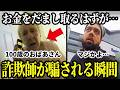 【まさかの展開】詐欺師が100歳に騙されて逮捕される!
