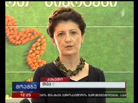 წულუკიანმა მიწის რეგისტრაციის ახალი წესი თელავში წარადგინა