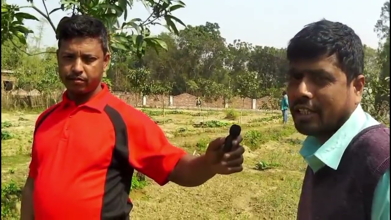 কবরস্থানের সবজি চাষ