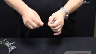 Hook cluster Statice