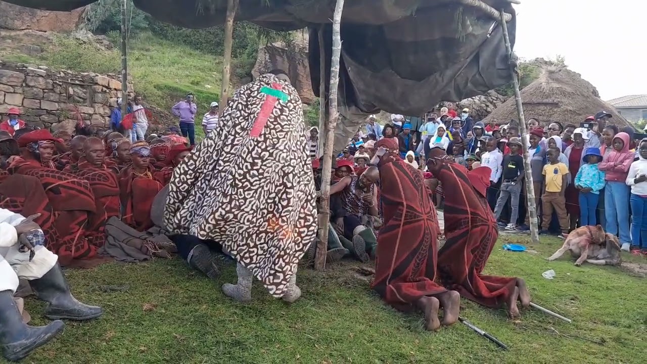 Makolwane a Ntate Tau 2022