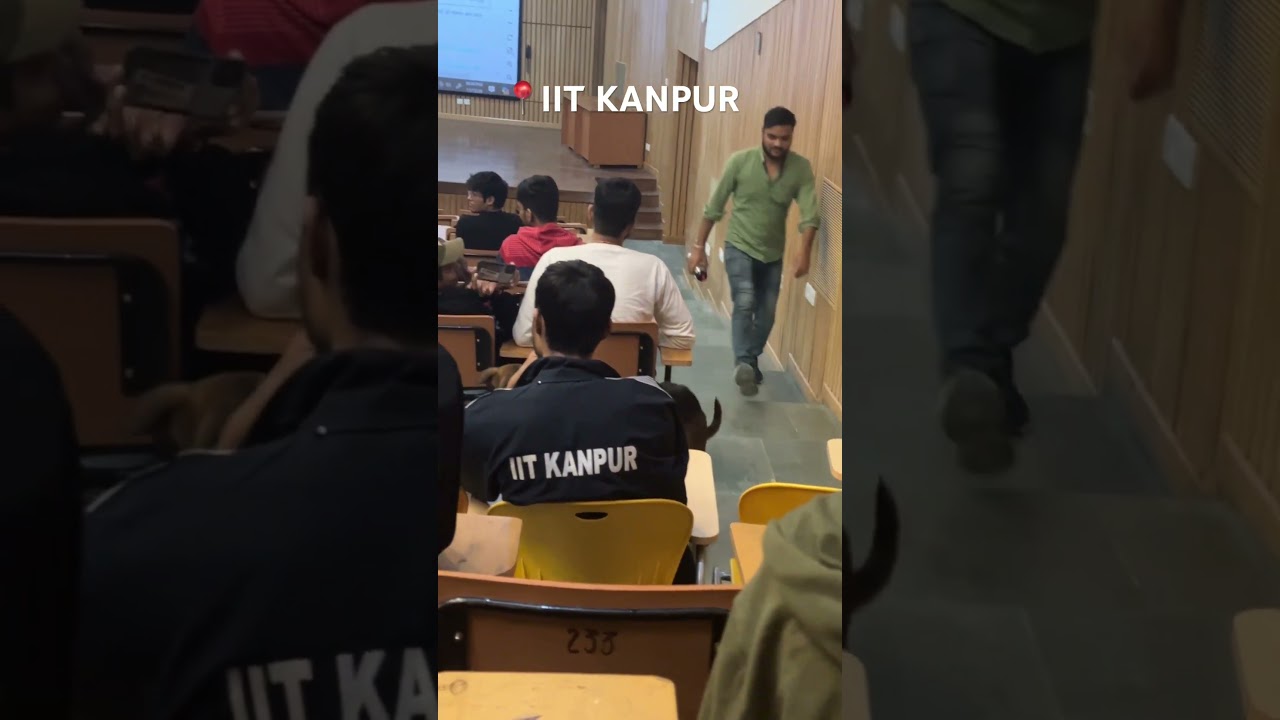 Dog in live class at IIT KANPUR 