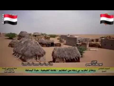 عليل ام هوى ايوب طارش