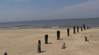 Higbee Beach; Cape May, New Jersey