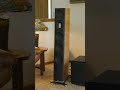 Ansuz Speaker Cables In-home Demo