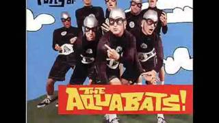 Vignette de la vidéo "The Aquabats - Attacked By Snakes (with lyrics)"