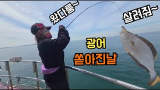 대광어4차... 배 전체 조황이 터진날 .마릿수 도전엔 이 웜이 최고!(영상 참조) #대광어낚시 #광어다운샷 #인천선상낚시 #만수피싱 #디포이Air아레스B632ML #하룽이일상