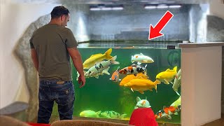 The Most Amazing Indoor Koi Pond With Fish *DIY (Long Version) The Most Amazing Indoor Koi Pond With Fish *DIY (Long Version)