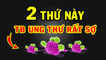 Phát Hiện Quốc Gia Duy Nhất Nói Không Với UNG THƯ Nhờ 2 Thứ Cực Tốt Cho Sức Khỏe Này