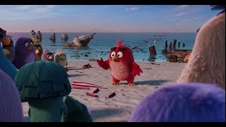 Angry Birds Film Türkçe Dublaj - Red, Bir Lidere Ihtiyacımız Var.