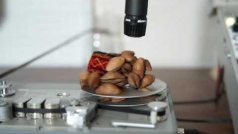 Different Speed Ⅲ / Eurorack Modular Synthesizer and Open Reel