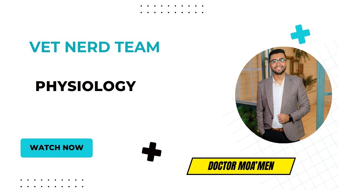 How to enumerate RBCs