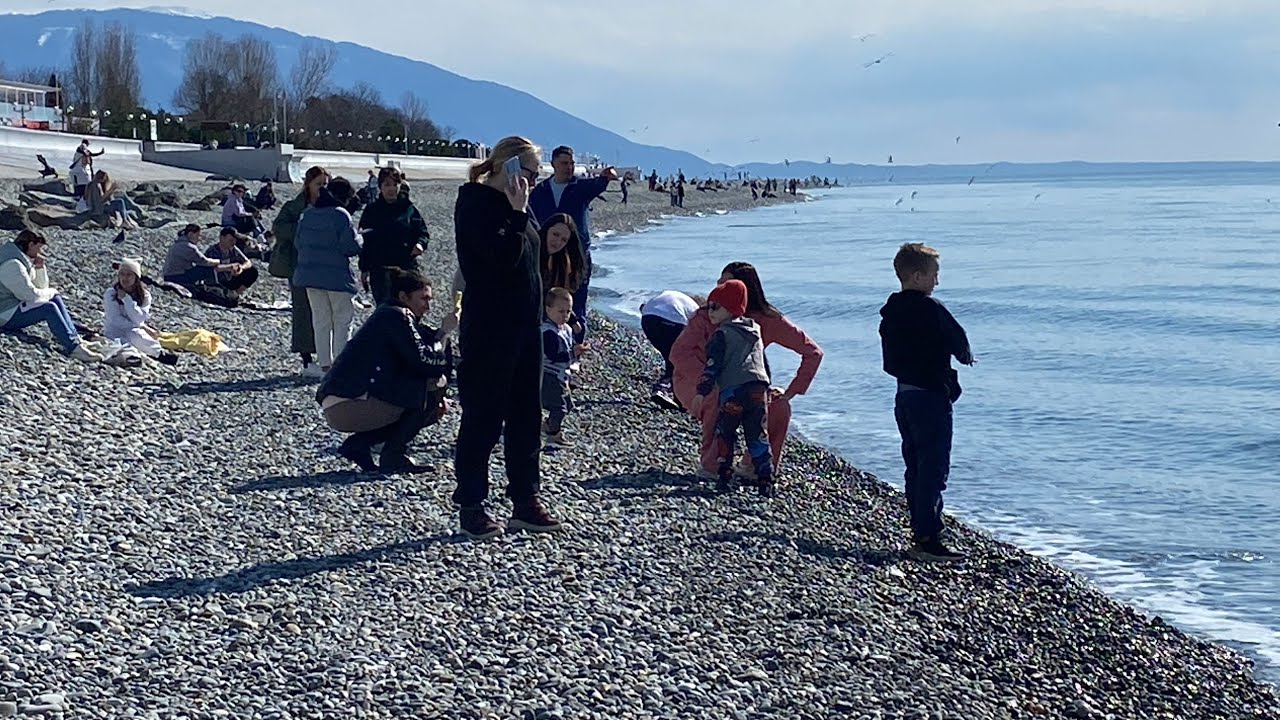 Сочи море в мае температура воды