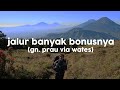 Cantiknya Prau via Wates | Gunung Prau, Jawa Tengah - New Normal