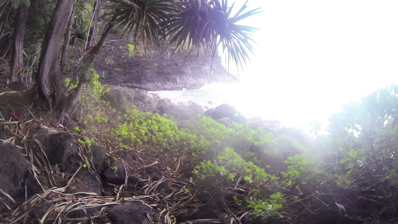 Exploring Kauai - The Garden Isle - YouTube