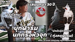 บุกฟาร์ม | นกกรงหัวจุกแฟนซีสายพัฒนา(ทุ่งครุฟาร์ม) 