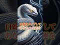 この白蛇を見たら24時間以内に金運が上昇します🐍 #スピリチュアル #金運 #開運