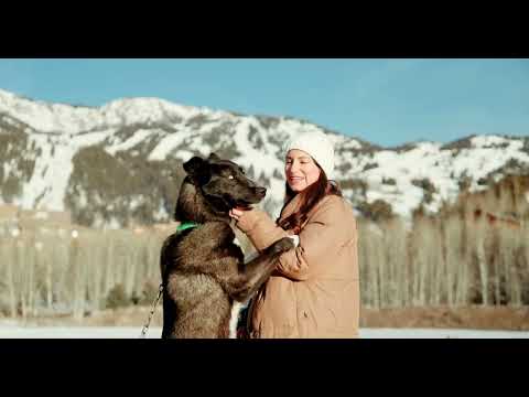 The Rusty Parrot Lodge, Jackson, Wyoming, a film by Sam Reynold