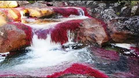 سورة الجمعة والمنافقون والتغابن والتكوير | لصاحب الحنجرة الذهبية | الشيخ عبد الباسط عبد الصمد