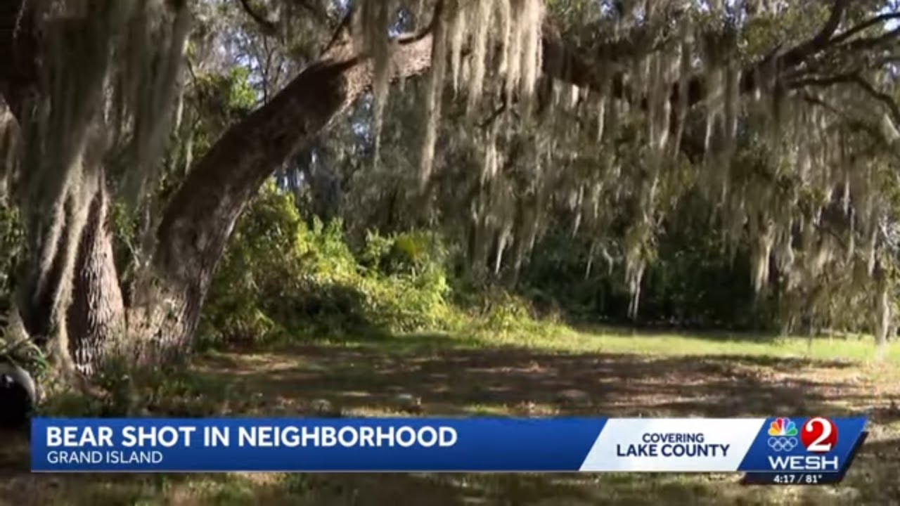 Couple heartbroken after neighbor kills bear next to her cub on their Central Florida property