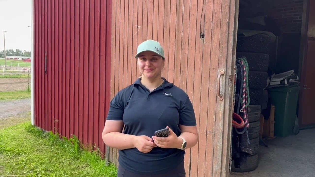 Vahannan ratsastuskoulu Tuntsarit 2023 osa 2