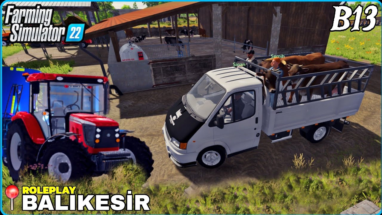 800.000 LİRAYA DAMIZLIK İNEK VE BOĞA ALDIM❗️TRAKTÖRÜMÜ YENİLEDİM❗️TMO'YA SATIŞLARI YAPTIK 