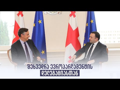 შეხვედრა ევროპარლამენტის დელეგაციასთან