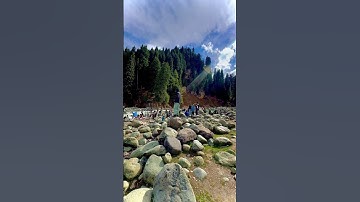 "You define your own life. Don