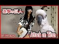 進撃の巨人OP三味線で演奏してみた〜おまけ付き〜 Beni Ninagawa