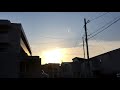 七福美尼、エレン、花月夜、ラズベリーアイス