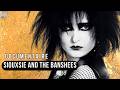 SIOUXSIE AND THE BANSHEES : l'ic&ocirc;ne du post-punk (documentaire)