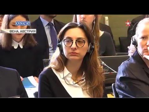 18.02.16 Представители Украины попытались заткнуть журналиста «Звезды» на конференции ОБСЕ.