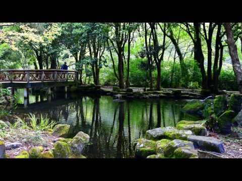 Somewhere Around Taiwan