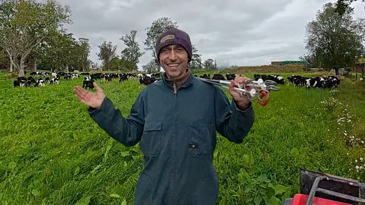 Ep. 89 | 🇷🇴 Final de vară complet ANORMAL! 🐮 Furaj RECORD și ciuperci peste tot 🌤️