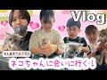 ★Vlog★かんあきファミリーついにネコちゃんを飼う！？