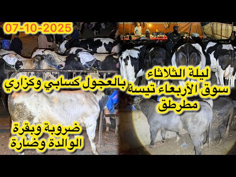 ليلة الثلاثاء سوق الأربعاء تيسة مطرطق بالعجول كسابي وكزاري وضرربة سن حليب بقرة الوالدة وضارة 07 2025