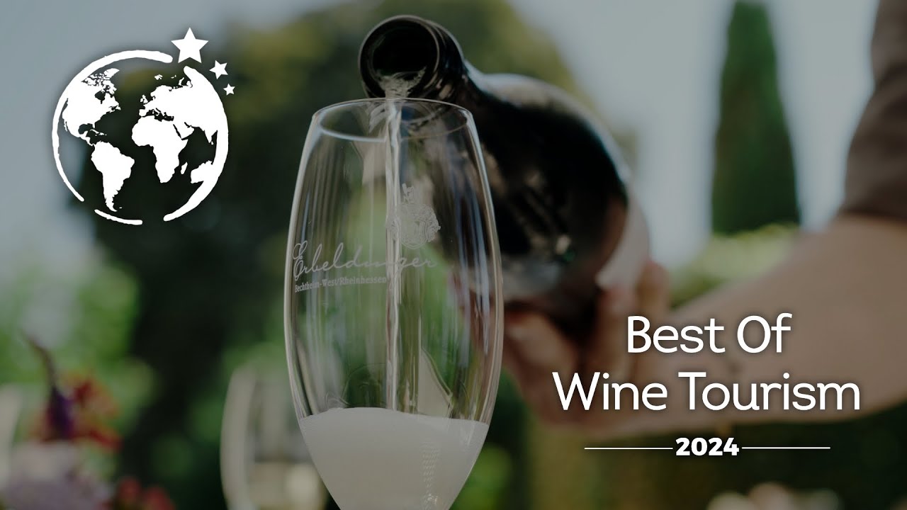 The Best Wine Glasses for 2024